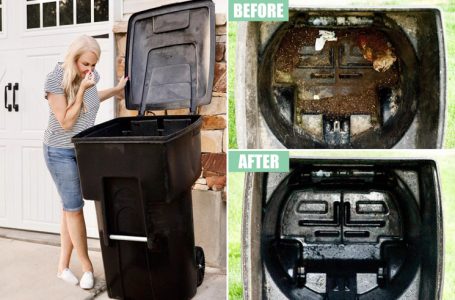 garbage-cans2